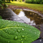 Système modulaire Triton Voute : l’assemblage façon LEGO pour bassins d’infiltration