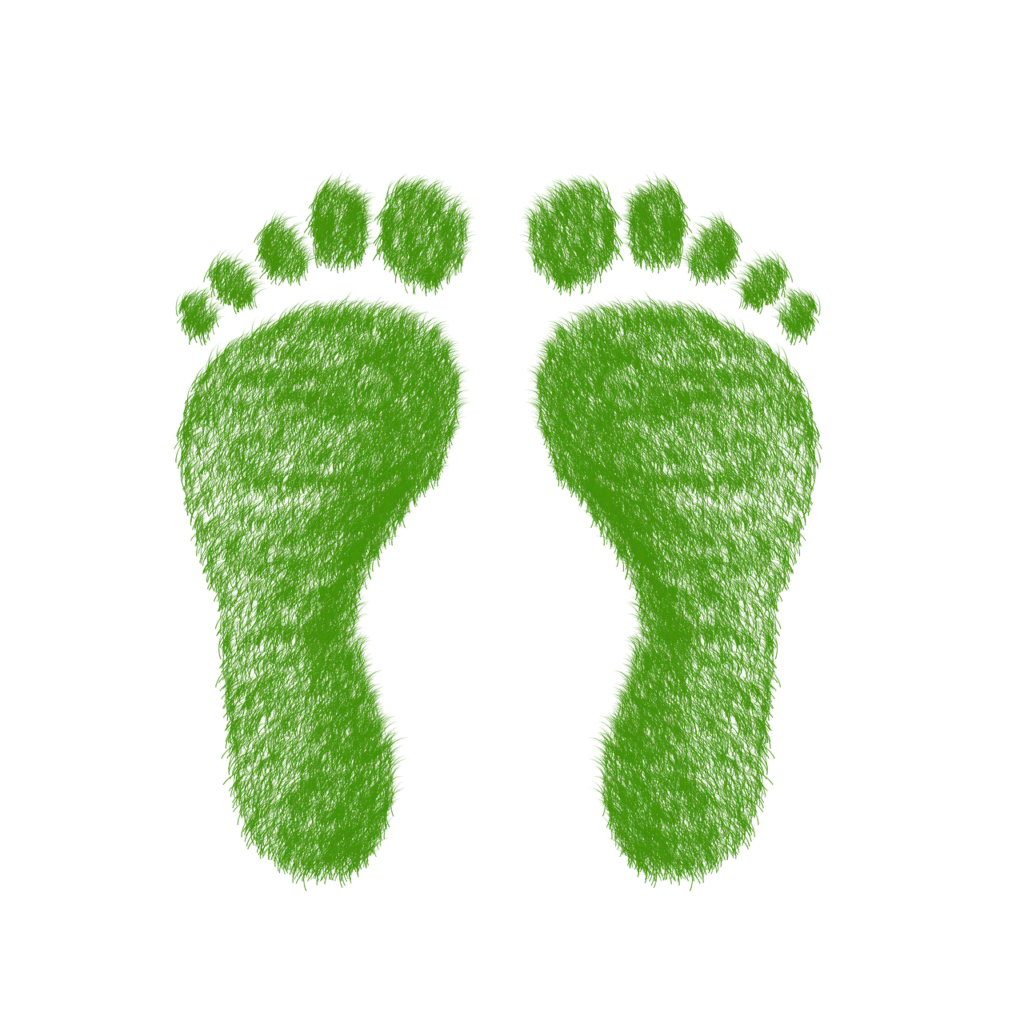 découvrez ce qu'est l'empreinte écologique, comment elle mesure l'impact de l'activité humaine sur la planète et quelles solutions adopter pour réduire votre impact environnemental au quotidien.