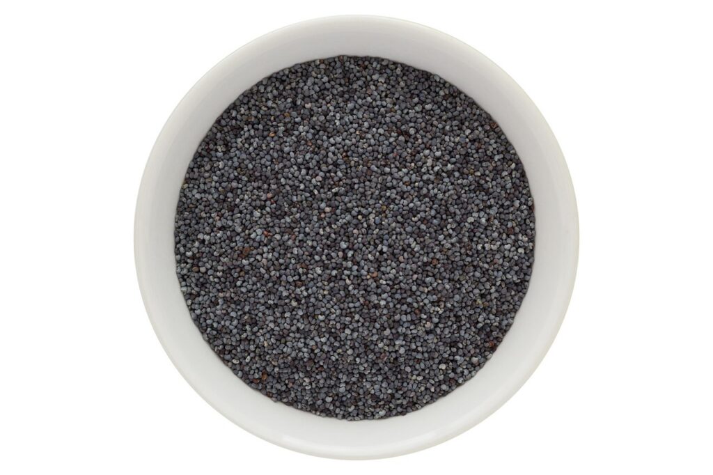 découvrez nos produits biologiques frais et détaillés, cultivés naturellement pour une alimentation saine et savoureuse.