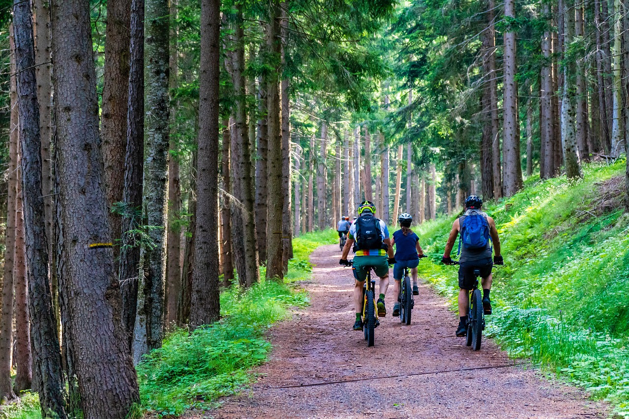 découvrez le vélo écologique, une manière durable et respectueuse de l'environnement pour explorer la nature tout en préservant la planète. rejoignez le mouvement vers un transport écoresponsable et profitez de balades uniques en harmonie avec la nature.