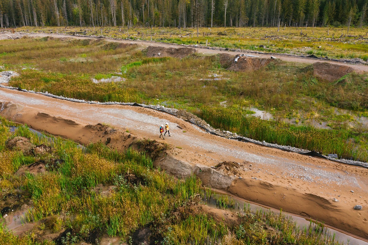 découvrez l'importance de la reforestation pour la biodiversité et la lutte contre le changement climatique. apprenez comment participer à des projets de reboisement et contribuer à la préservation de notre planète.