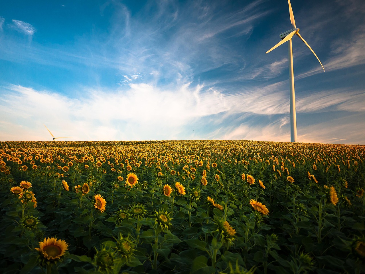 découvrez les énergies renouvelables : sources durables et respectueuses de l'environnement pour un avenir énergétique propre et responsable.
