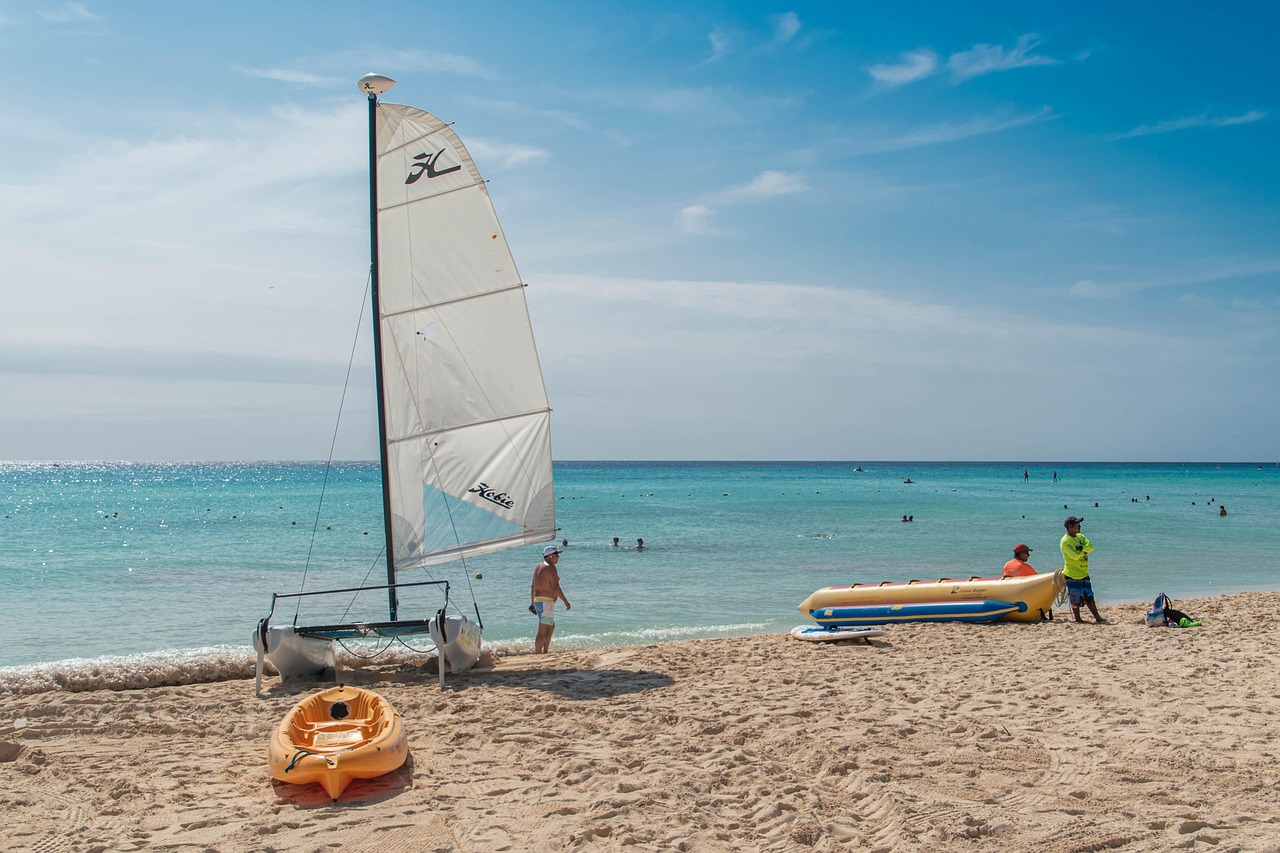 découvrez tout sur le catamaran : ses caractéristiques, avantages et utilisations pour naviguer en toute sécurité et confort.