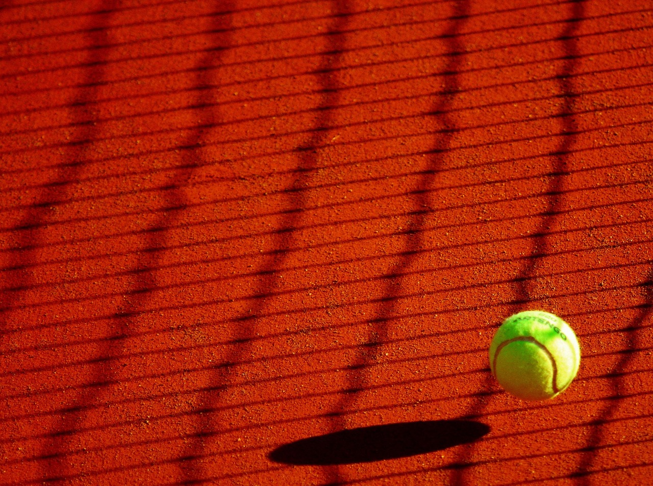 découvrez l'univers passionnant du tennis : actualités, conseils, techniques, tournois majeurs et astuces pour progresser, que vous soyez débutant ou joueur confirmé.