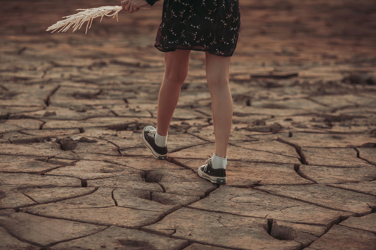 découvrez les enjeux, causes et solutions liés au changement climatique, ainsi que son impact sur l’environnement et notre quotidien. informez-vous sur les actions possibles pour protéger la planète.