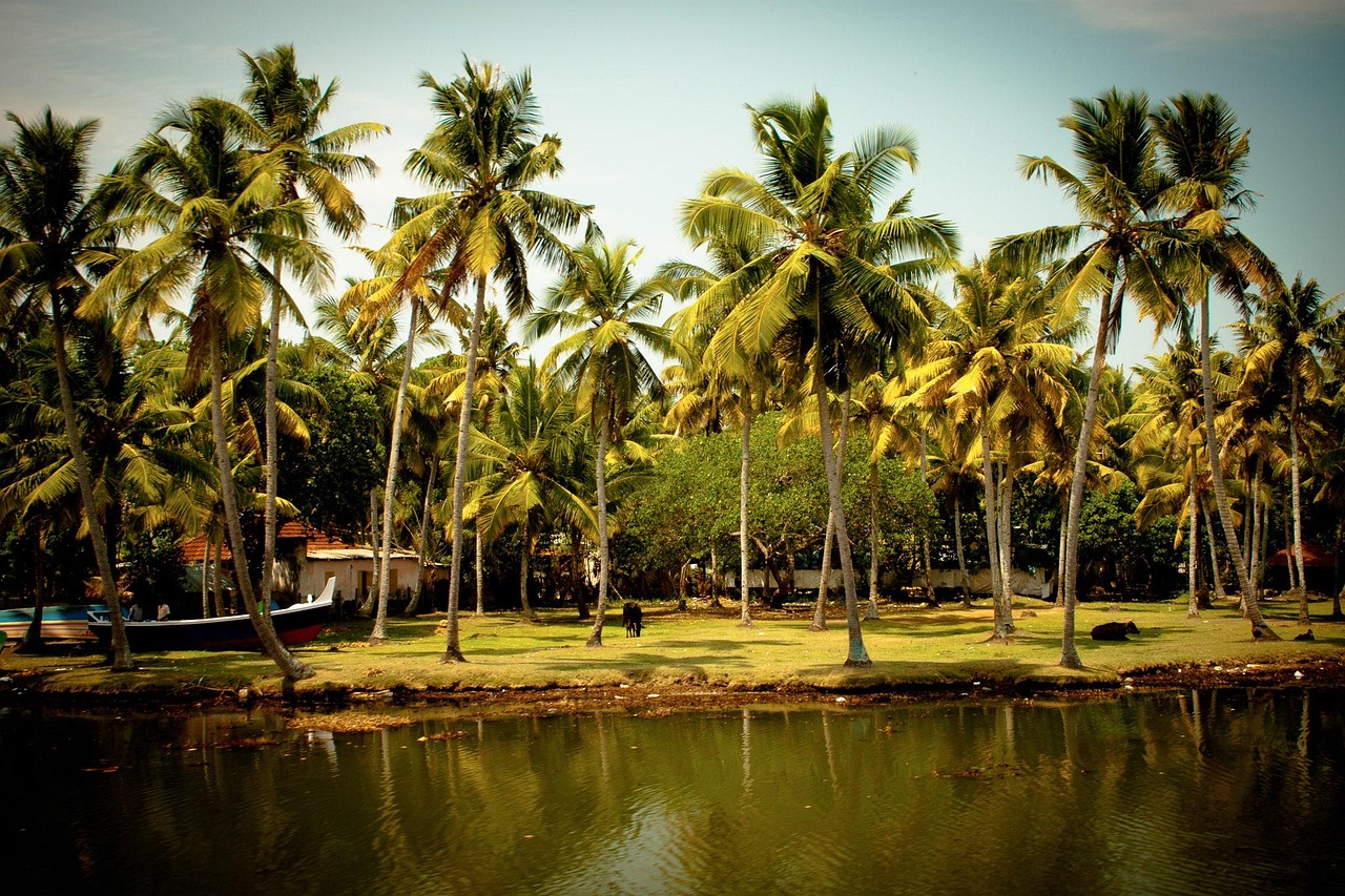 découvrez l'inde, un pays riche en culture, histoire et traditions, offrant des paysages variés et une cuisine savoureuse.