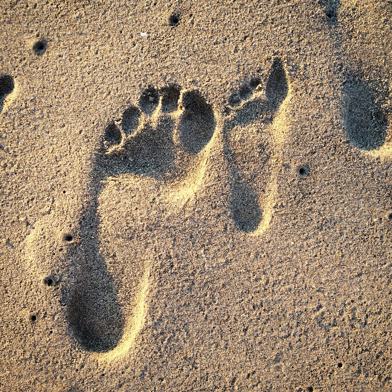 découvrez comment réduire votre empreinte carbone et contribuer à un avenir durable. apprenez des conseils pratiques et des stratégies pour minimiser votre impact environnemental au quotidien.