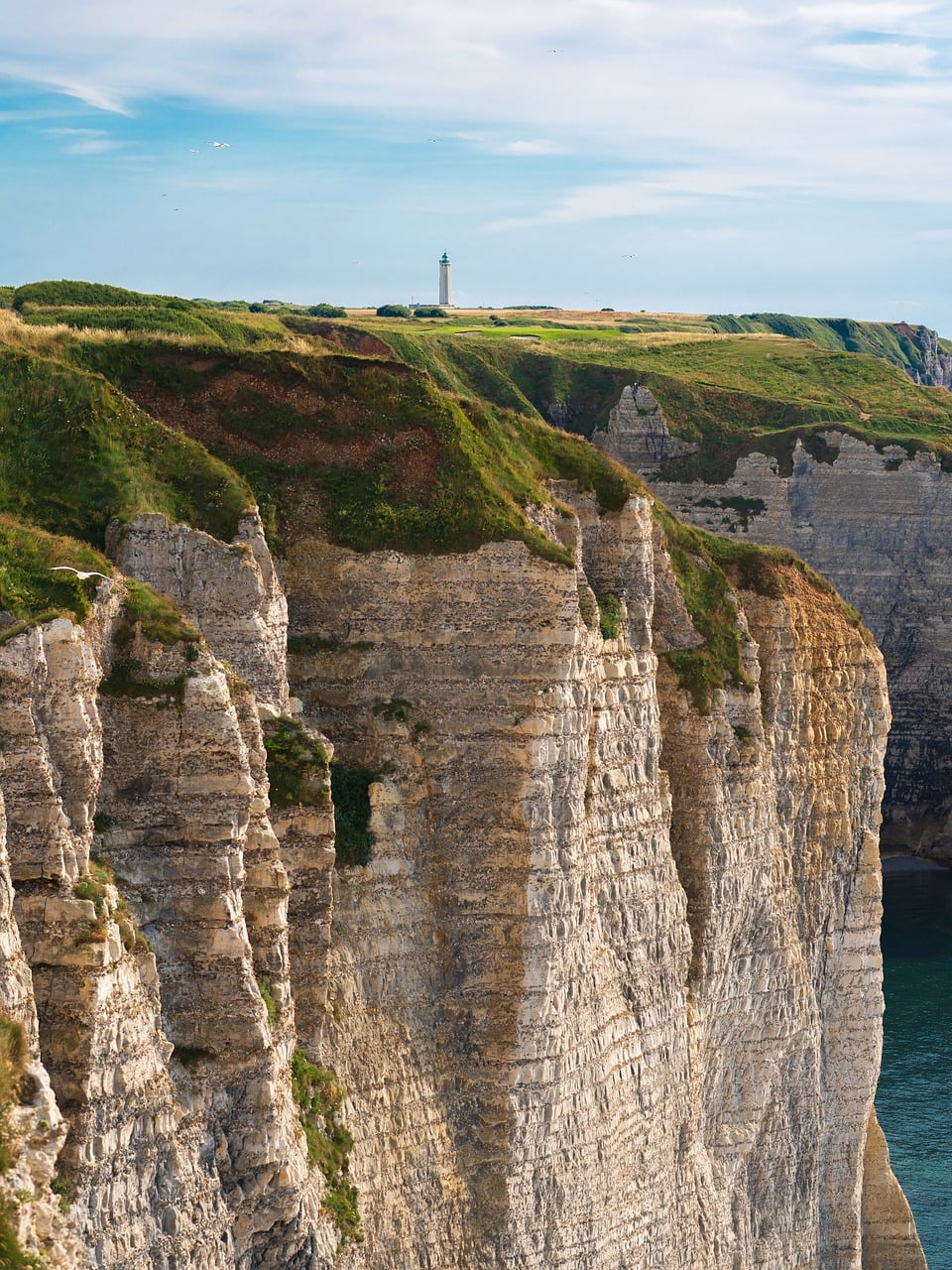 découvrez l'engagement de la france au sein du g7 pour protéger l'environnement et promouvoir des actions durables à l'échelle mondiale.