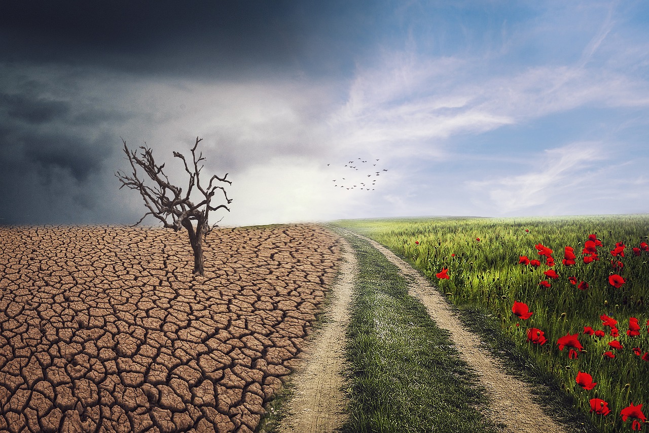 découvrez les causes, les impacts et les solutions possibles au changement climatique afin de mieux comprendre comment il affecte notre planète et ce que chacun peut faire pour limiter ses effets.