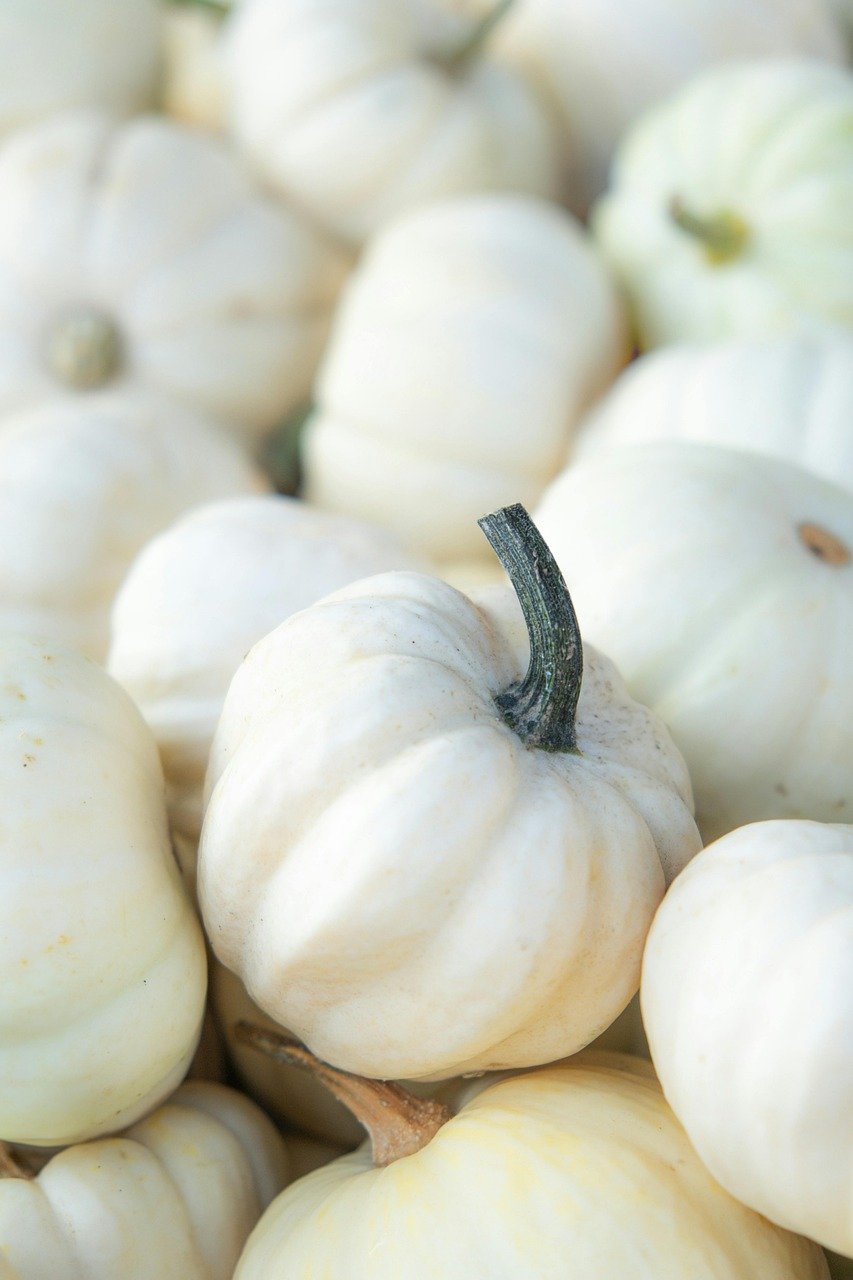 découvrez des produits locaux et de saison, frais et savoureux, pour soutenir les producteurs de votre région et manger sainement tout au long de l'année.