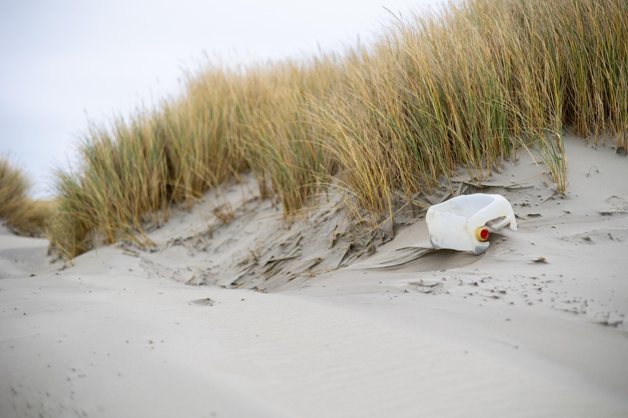 découvrez l'importance cruciale de l'environnement et les actions à entreprendre pour le préserver. informez-vous sur les enjeux écologiques, les innovations durables et les initiatives pour un futur plus vert.