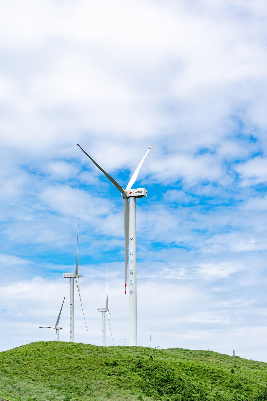 découvrez l'importance du développement durable pour préserver les ressources naturelles et assurer un avenir équilibré alliant croissance économique, protection de l'environnement et bien-être social.