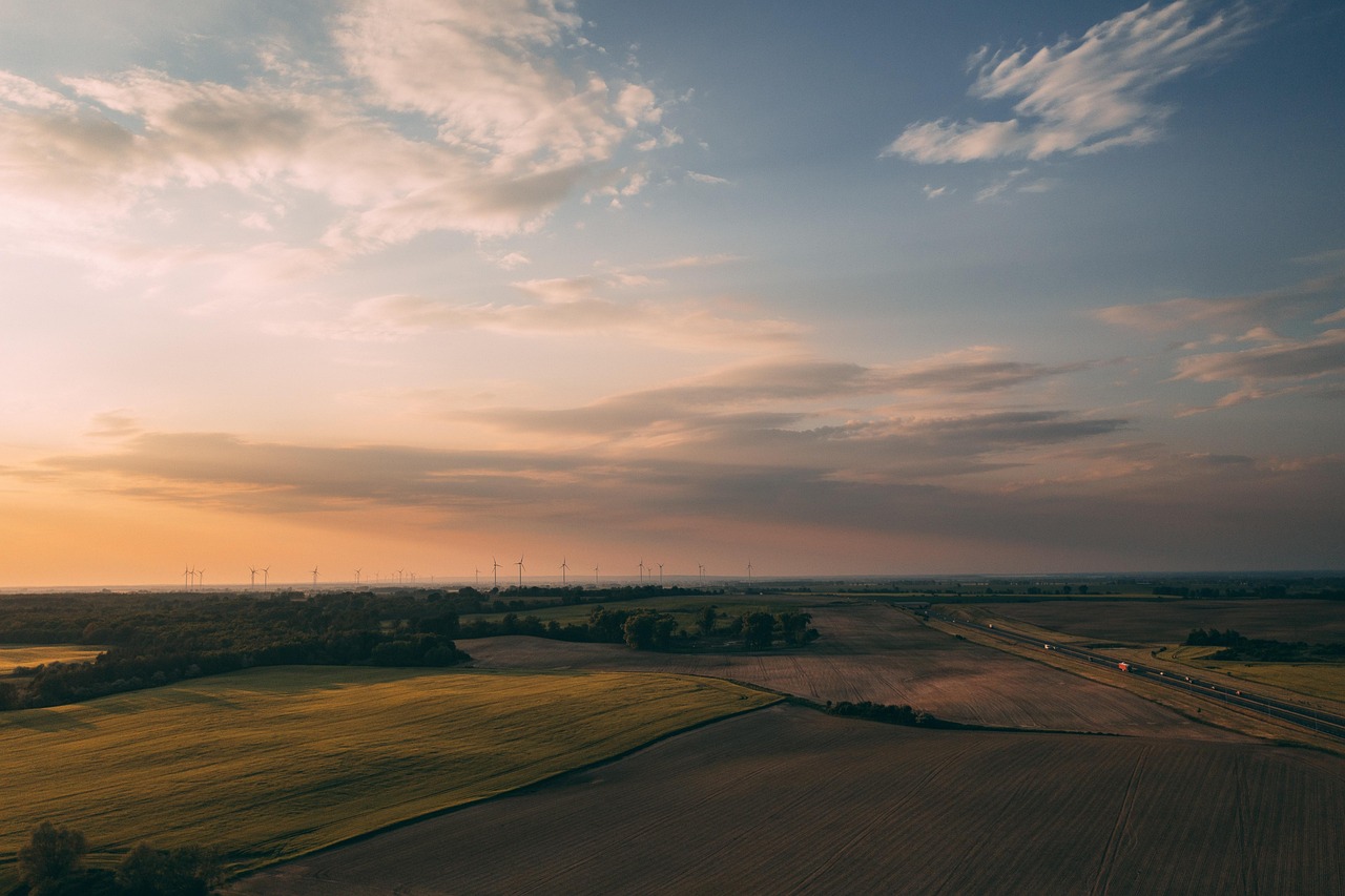 découvrez comment adopter des pratiques durables pour préserver l’environnement et assurer un avenir responsable et respectueux de la planète.