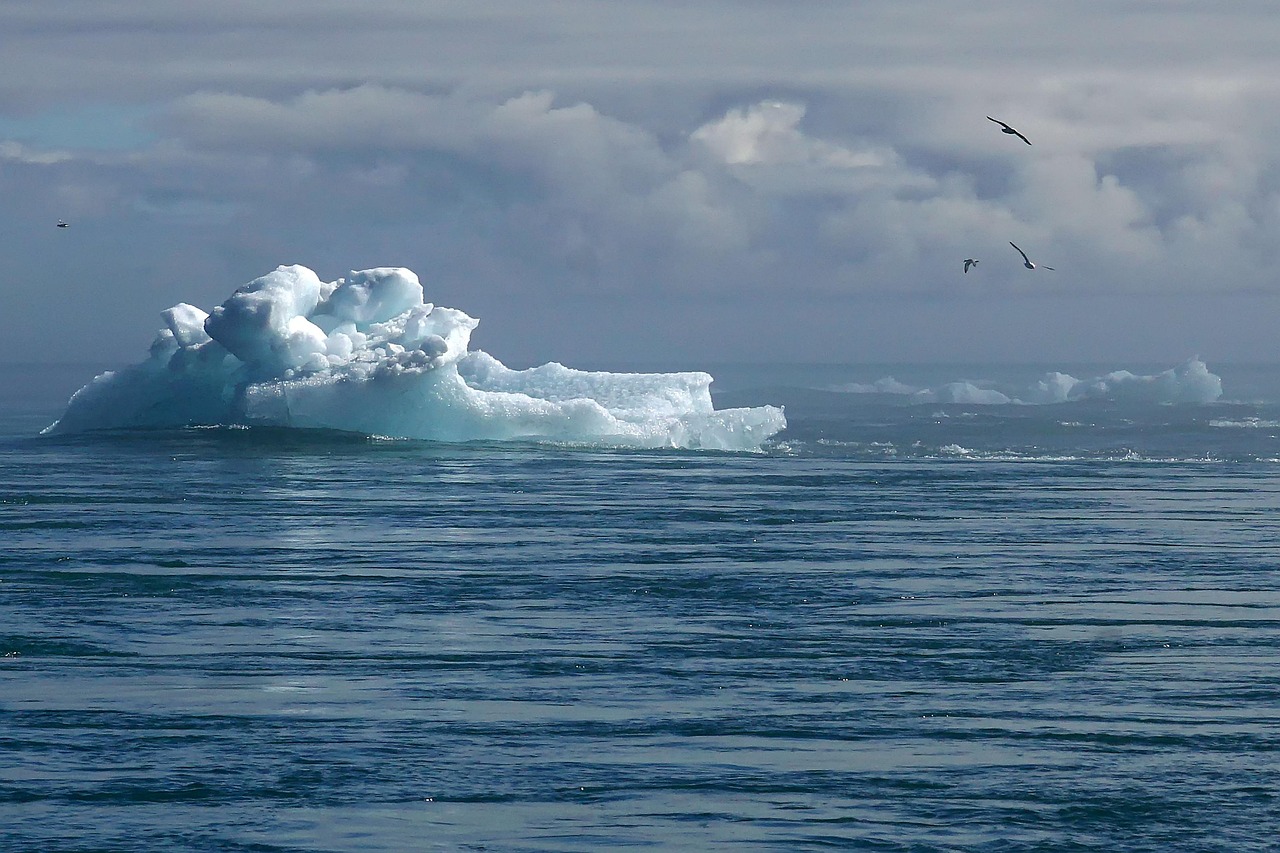 découvrez les causes, les impacts et les solutions du changement climatique pour agir en faveur de la planète et préserver notre avenir.