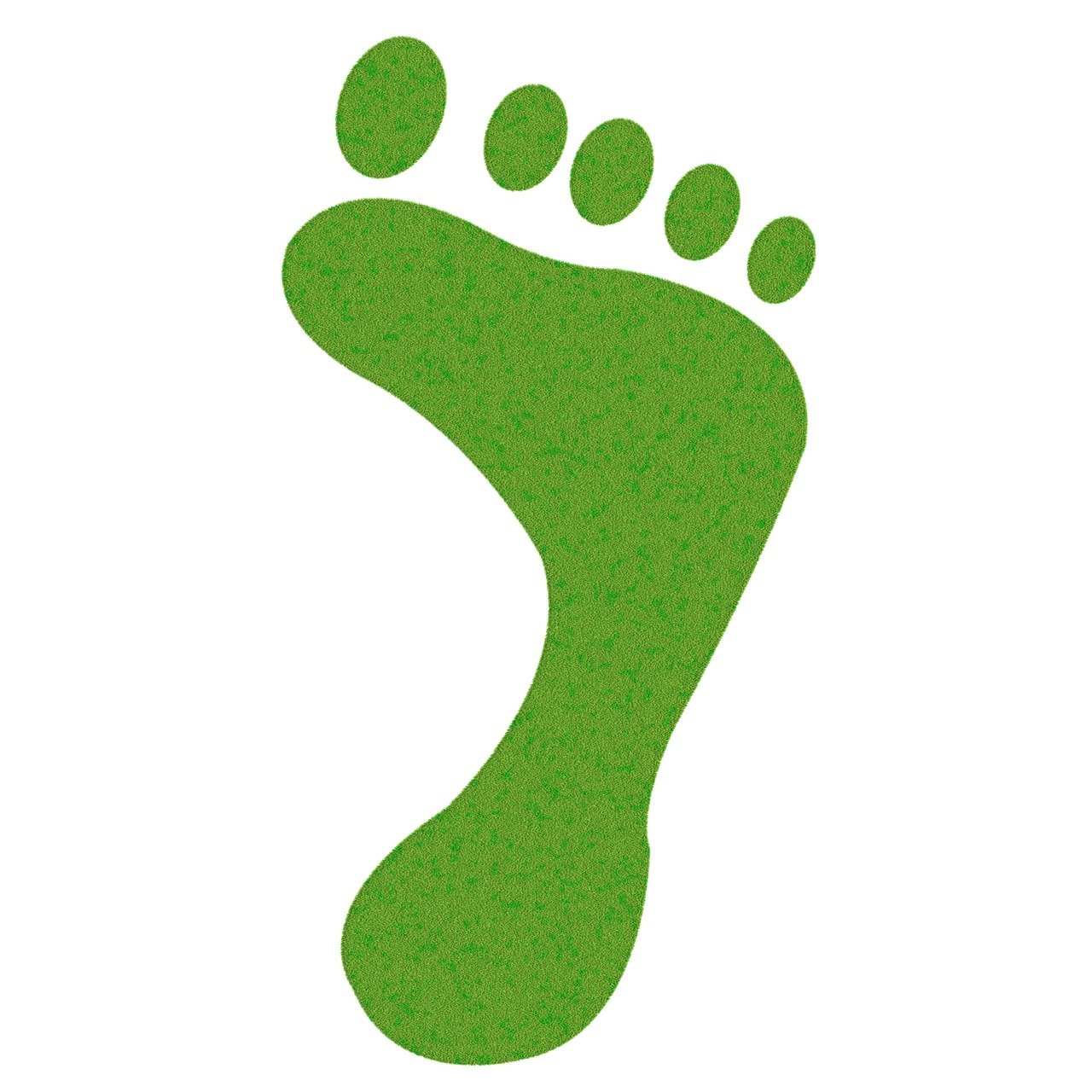 découvrez comment réduire votre empreinte carbone et contribuer à un avenir durable. apprenez des stratégies simples pour minimiser votre impact environnemental au quotidien.