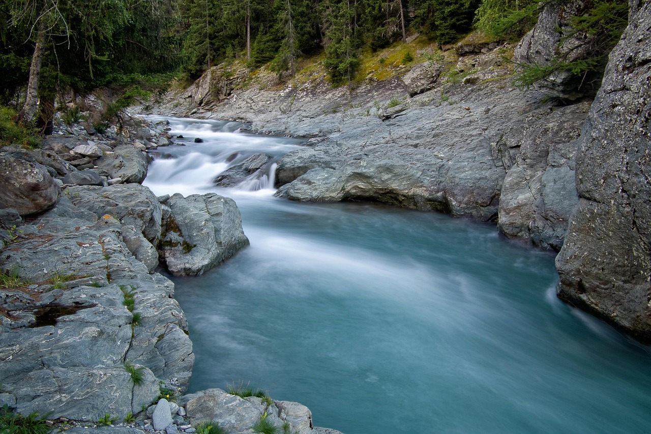 découvrez tout sur l'environnement : protection, développement durable, biodiversité et actions pour préserver notre planète.