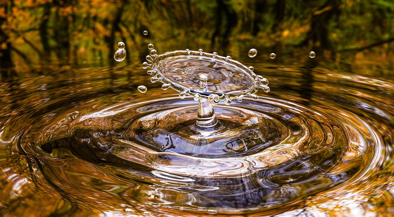 découvrez les principes de l'économie circulaire, un modèle durable favorisant la réduction des déchets, le recyclage et la réutilisation des ressources pour préserver l'environnement.