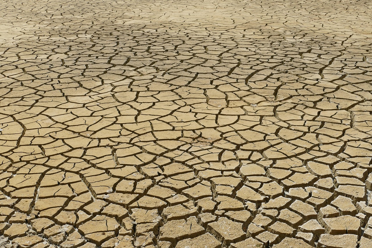 découvrez les enjeux du changement climatique, ses impacts sur notre planète et les solutions possibles pour un avenir durable. informez-vous sur les actions à prendre pour préserver notre environnement.