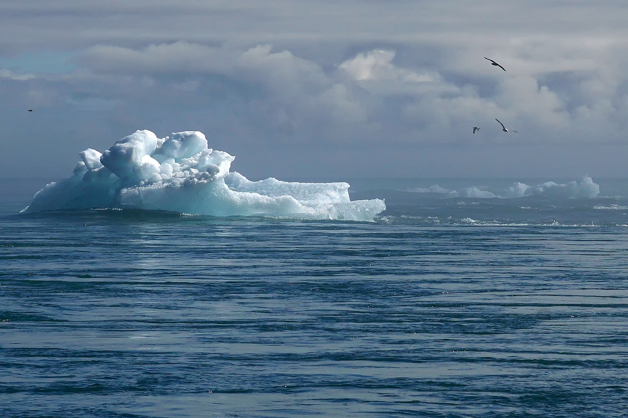 découvrez l'impact du changement climatique sur notre planète, les causes de ce phénomène mondial et les solutions pour un avenir durable. engagez-vous dans la lutte pour préserver notre environnement.