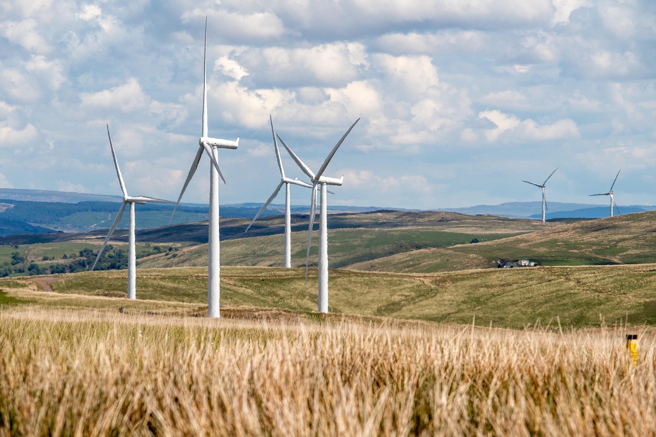découvrez comment créer un impact durable grâce à des pratiques responsables et innovantes pour un avenir respectueux de l'environnement.