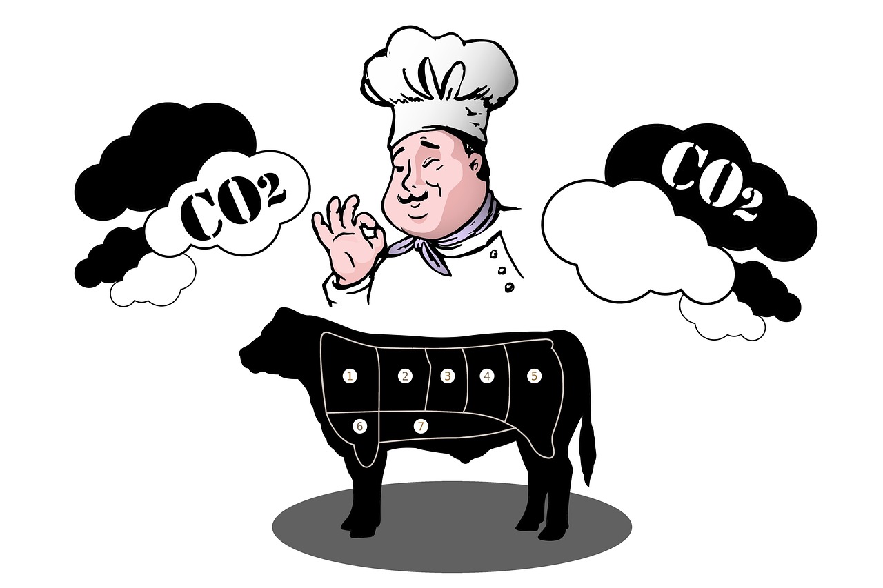 découvrez comment réduire votre empreinte carbone et contribuer à la protection de l'environnement. apprenez des astuces pratiques pour diminuer vos émissions de co2 au quotidien.