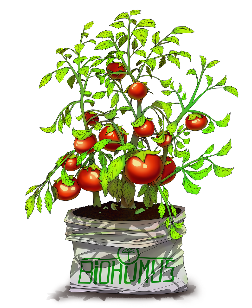 Lombricomposteur fonctionnement : comment transformer vos déchets en compost naturellement